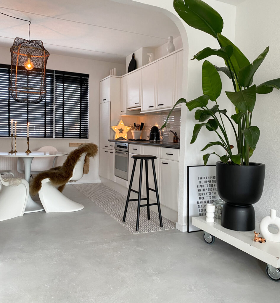Keuken in Scandinavisch appartement met designstoelen en ronde tafel en grote plant