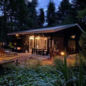 Zwarte vakantiewoning in Nunspeet in het bos met omheinde tuin gefotografeerd bij avond, heerlijke voor een weekje of weekendje weg